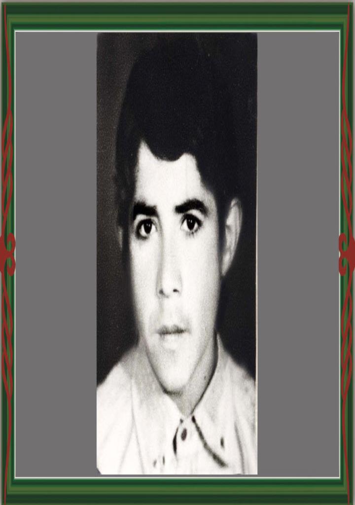 فاقد تصویر